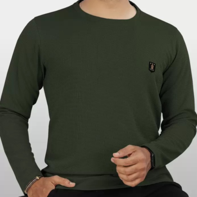 Men Solid Round Neck Polyester Green T-Shirt